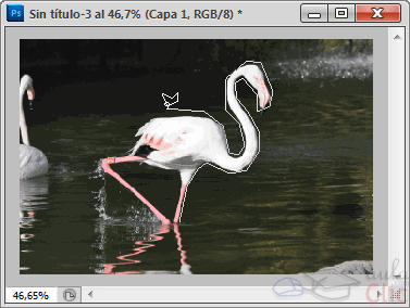 Ejemplo de Lazo poligonal