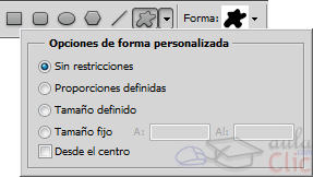 M&aacute;s opciones de forma