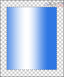 Paso 1