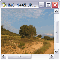 Vista inicial de la imagen