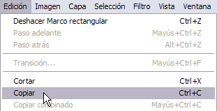 Copiar en Edición