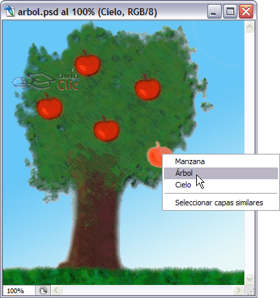 Ejemplo de selecci&oacute;n de capa