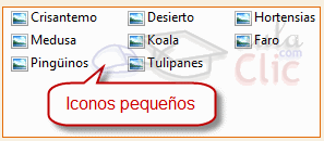 Vista iconos peque&ntilde;os