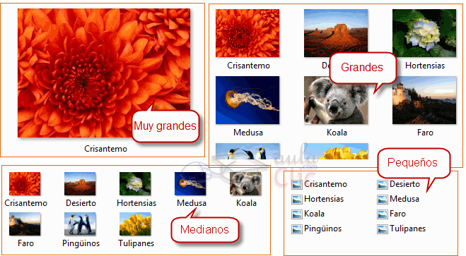 Vistas iconos en diferentes tama&ntilde;os