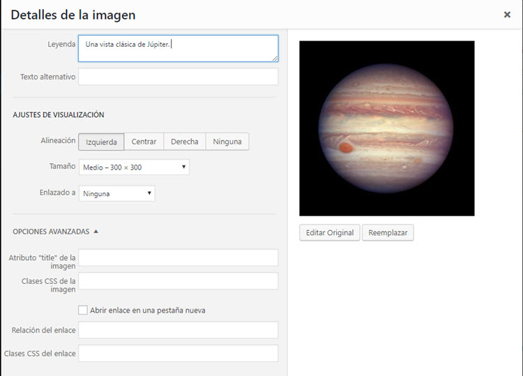 Detalles de la imagen en WordPress